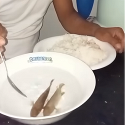 SOUP