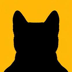 AnonCat