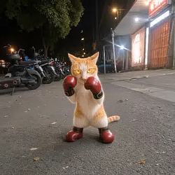boxingcat / SOL