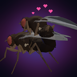 SEXFLY