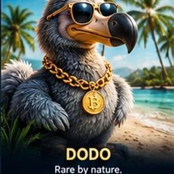 $DODO / SOL