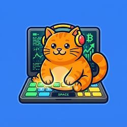 CODECAT