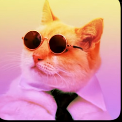 YCAT