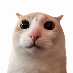 Catto