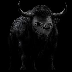 Bulltard / SOL