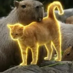 Oyen / SOL
