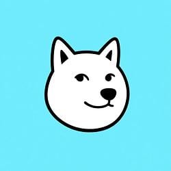 INUCOIN
