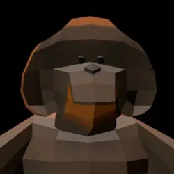 SAN