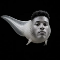 SEMAN
