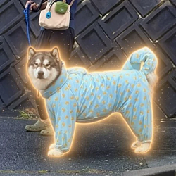アルト