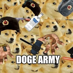 DogeArmy / SOL