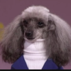 Paul