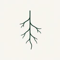ROOTS