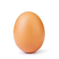 EGG / SOL