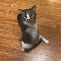 BEHOLD