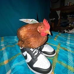 DCHIKEN