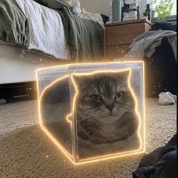 CATBOX