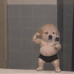 SPUP