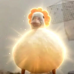 DUCK