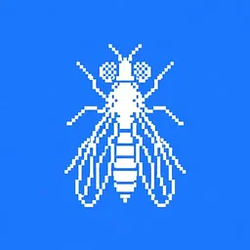 FLY