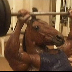GYM / SOL