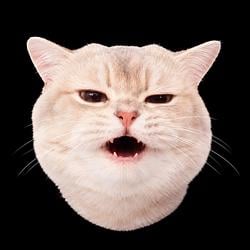 VRAX