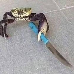 CRAB