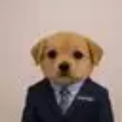 startpup