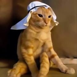 ACAT