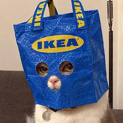 IKEAZ