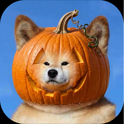 PumpInu
