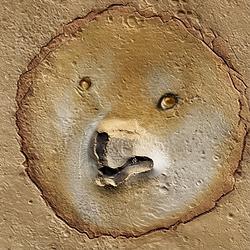 MARSDOGE / SOL