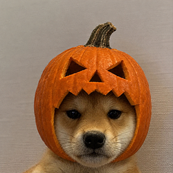 InuWeen