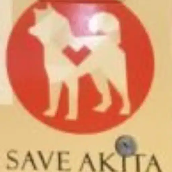 Akita