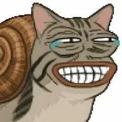 SNAILCAT / SOL