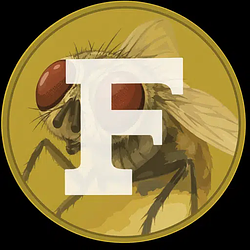 FLY
