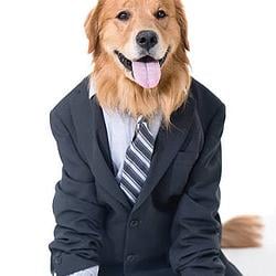 HDOG