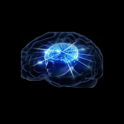 IQ