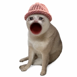 Cashcat