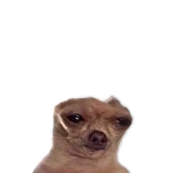 Tok the Dog logo