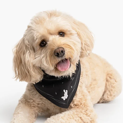 Bandana