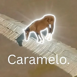 Caramelo / SOL