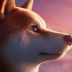 DOGE