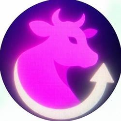 MCOW / USDC