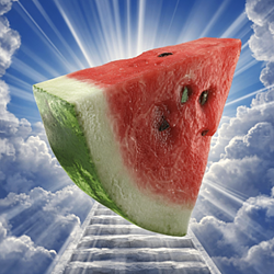 Watermelon / SOL