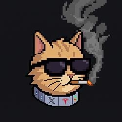 ICAT