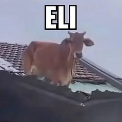 ELI / SOL