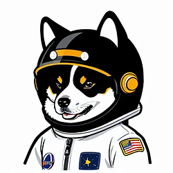 XDOGE