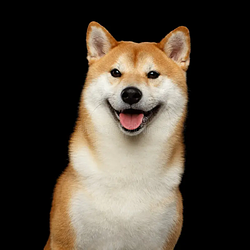 TLCINU