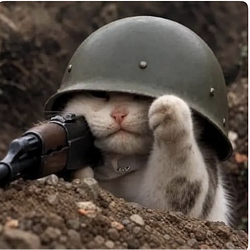 trenchcat